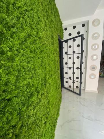 Suite 43 Теразини Екстериор снимка